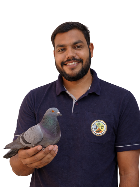 Rahul Chandubhai Jadav (1)