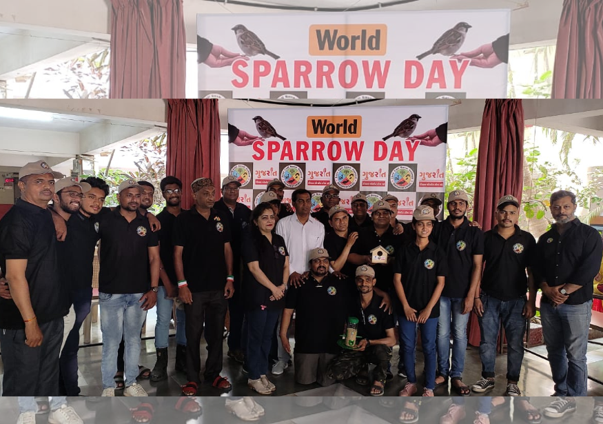 world sparrow day sparrow house distribution at Bright day school Vasna (2)